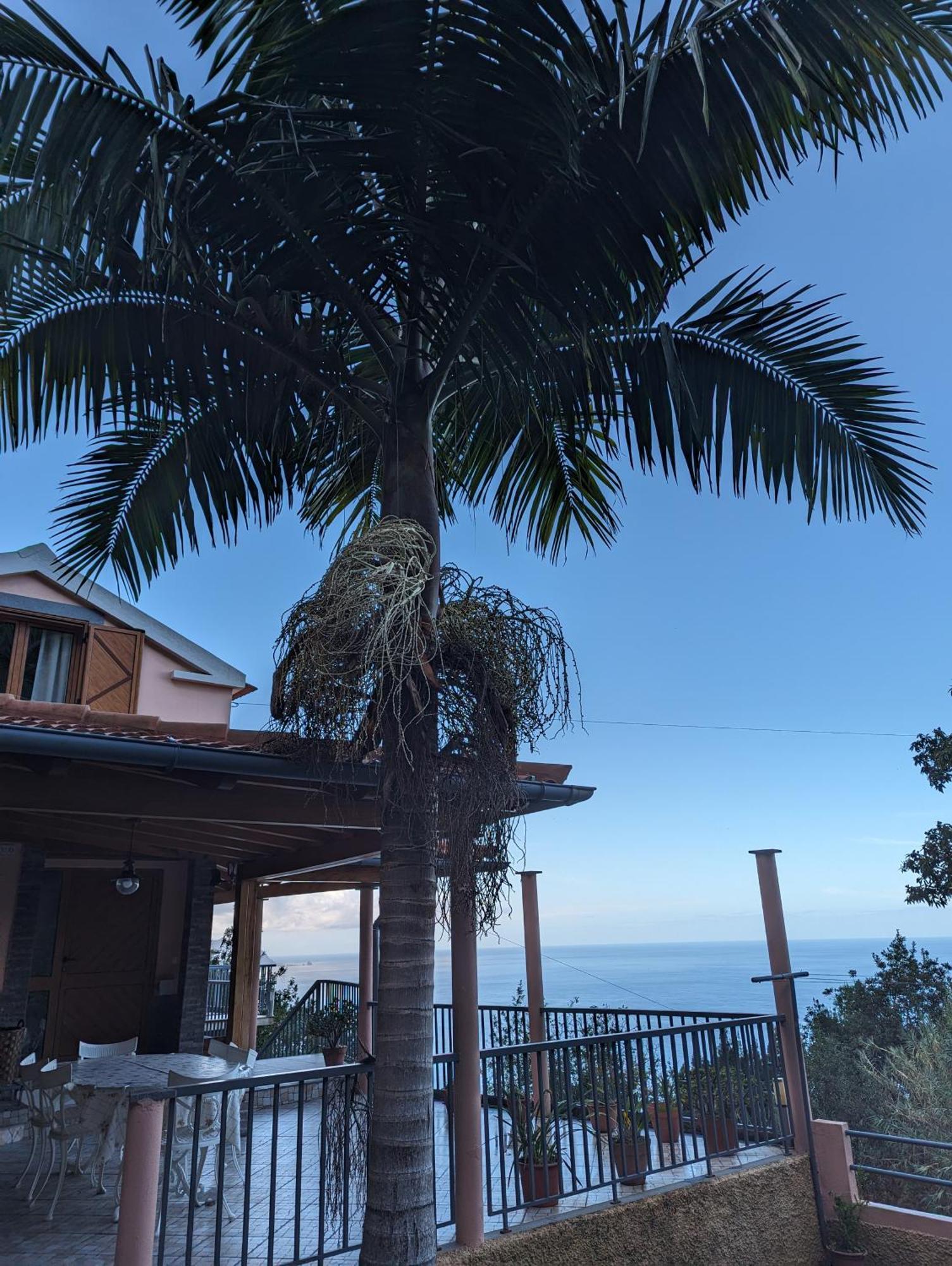 Fantatic Holiday House Ponta Delgada  Bagian luar foto